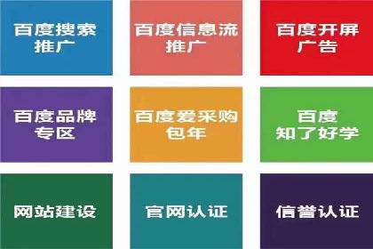 百度推广费用投入与用户转化路径的优化案例